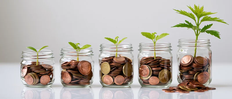 Five glass jars filled with coins and growing plants arranged in a row on a reflective white surface
