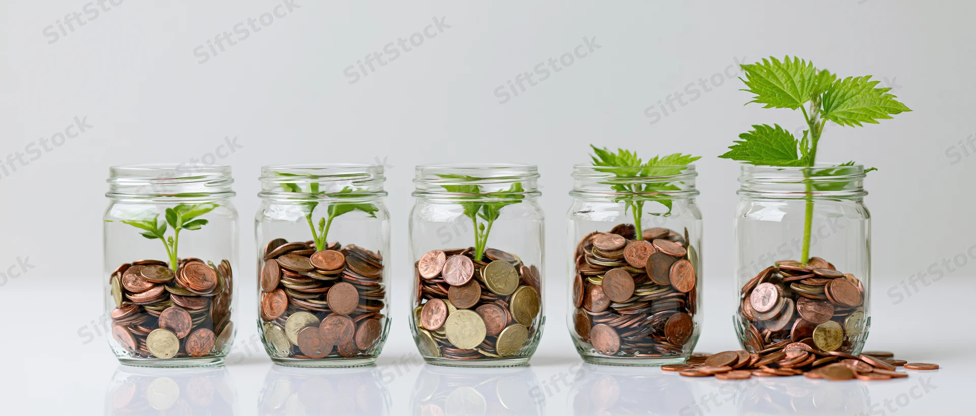 Five glass jars filled with coins and growing green plants arranged in a row on a white reflective surface