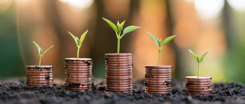 Stacks of copper coins with green sprouts growing from them in soil, arranged in ascending height
