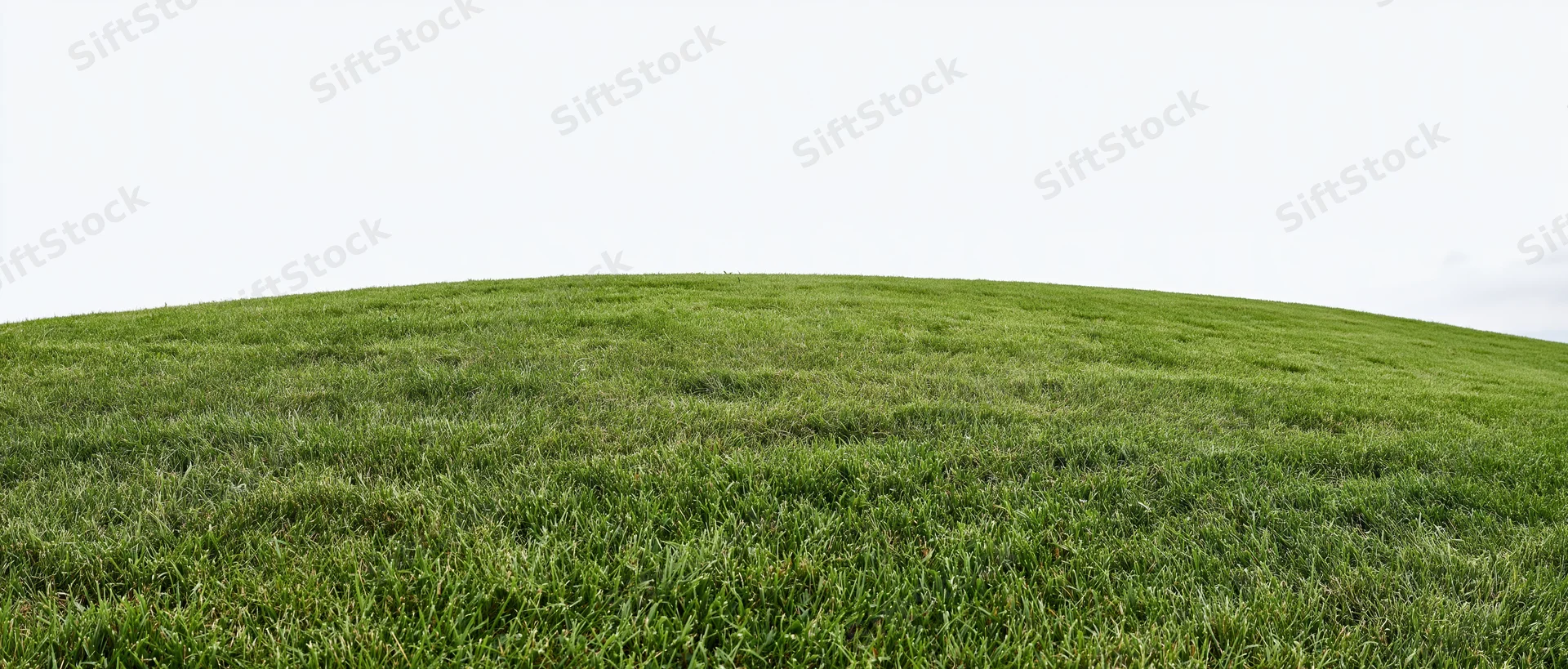 Gently sloping mowed grass field under overcast sky