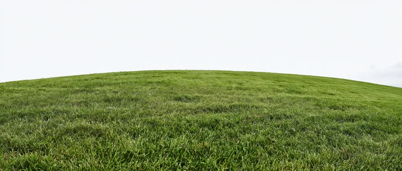 Gently sloping mowed grass field under overcast sky