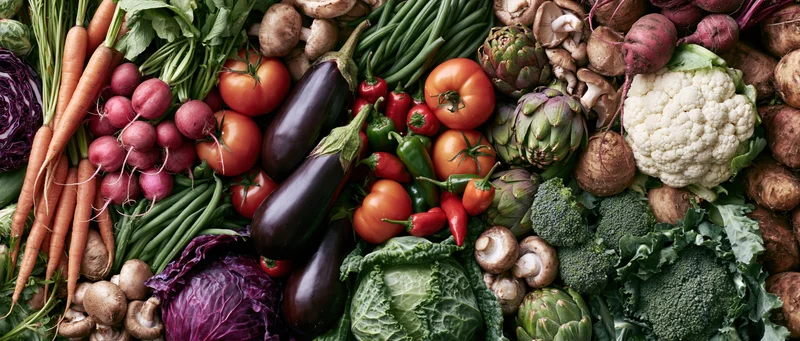 Densely packed fresh raw vegetables arranged in flat lay view
