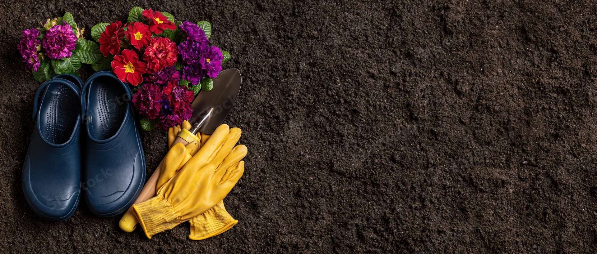 Gardening tools and colorful flowers arranged on dark rich soil with copyspace