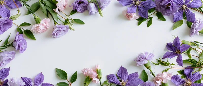Loose purple and pink flowers arranged in a border on white surface with copyspace