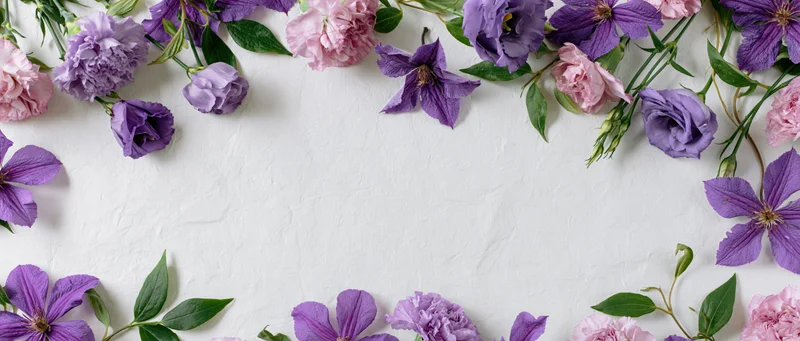 Loose purple and pink flowers arranged in a border on a white textured surface with copyspace