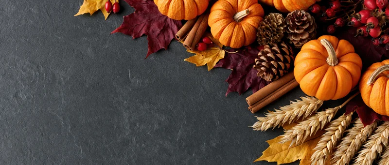 Small orange pumpkins and dried maple leaves arranged in corner on dark slate surface with copyspace