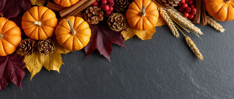 Small orange pumpkins and autumn leaves arranged on dark slate surface with copyspace