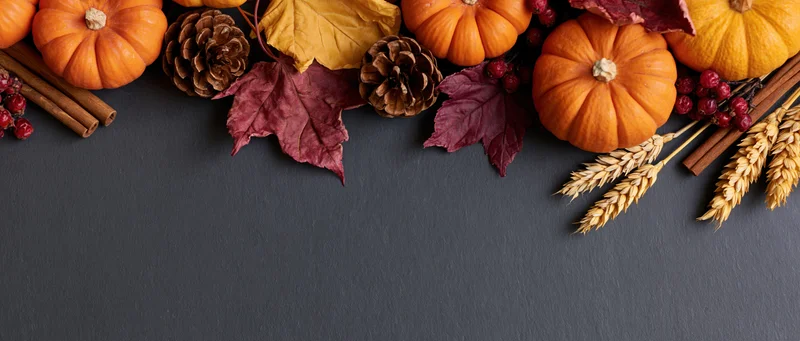 Small orange pumpkins and dried maple leaves arranged with pine cones, cinnamon sticks, berries, and wheat stalks along the top of a dark gray surface
