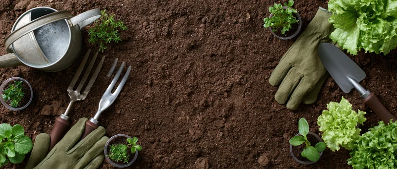 Garden tools and seedlings arranged on soil with lettuce and gloves in flat lay overhead view