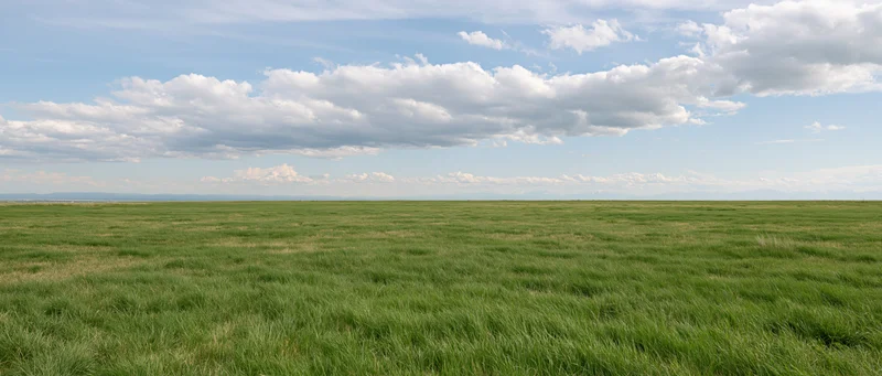 Wide panoramic view of a flat open grass field stretching to a low horizon under a partly cloudy sky