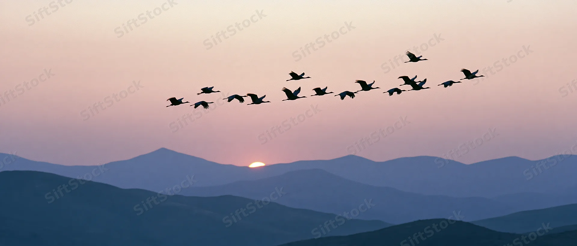 Flock of cranes flying in loose formation silhouetted against layered mountains at sunset