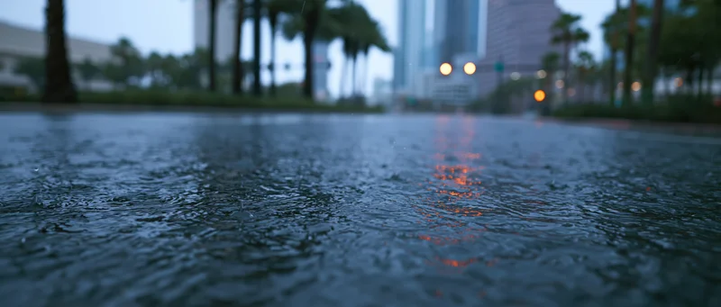 Raindrops falling on flooded city street surface with palm trees and buildings in background at dusk