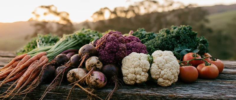 Freshly harvested vegetables arranged on a weathered wooden table outdoors at sunset