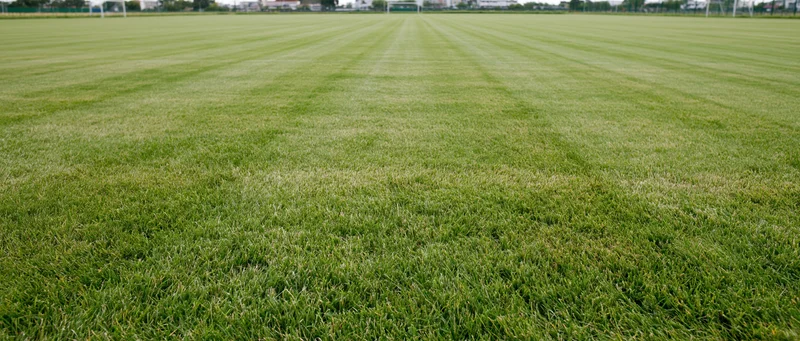 Freshly mowed grass on a sports field stretching to the horizon