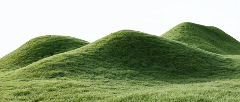 Gently rolling grass-covered hills under a white sky
