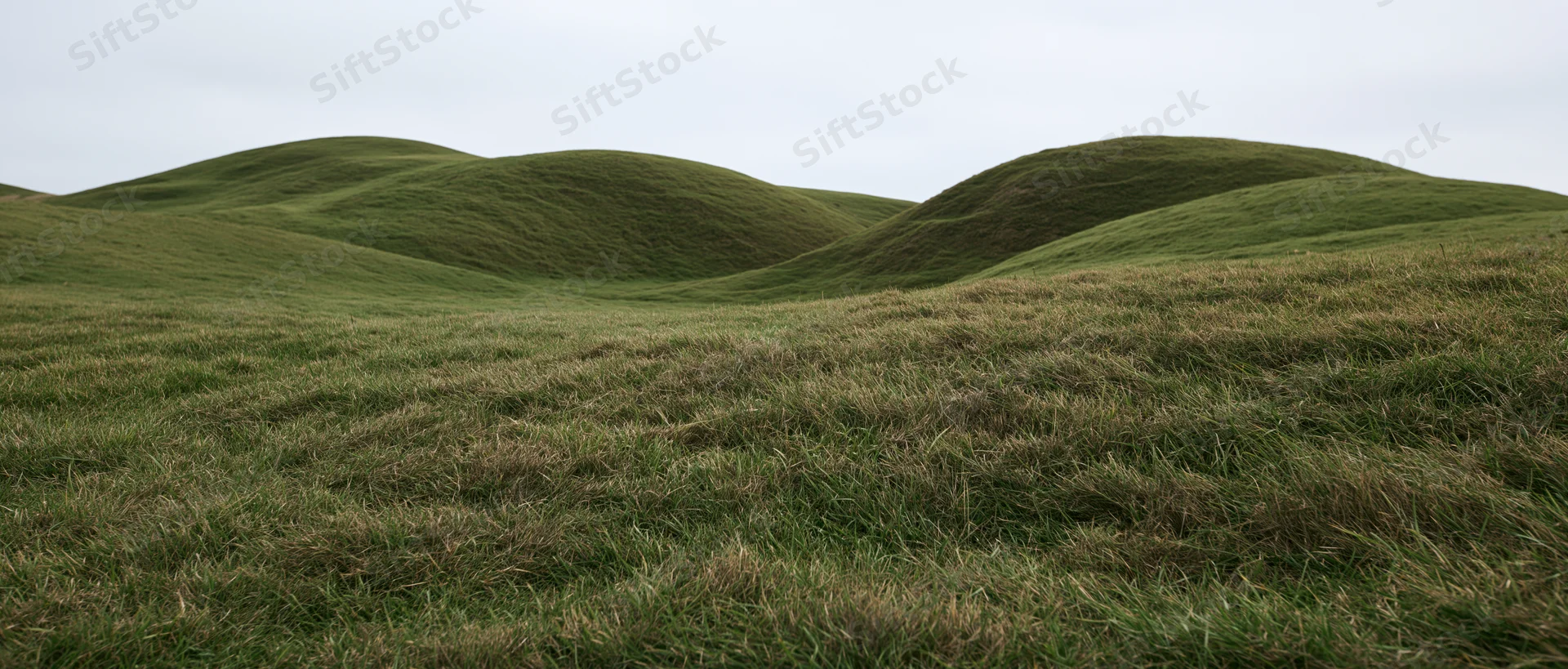 Gently rolling grass-covered hills under an overcast sky in a rural landscape