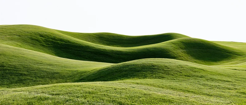 Gently rolling grass-covered hills under bright sky