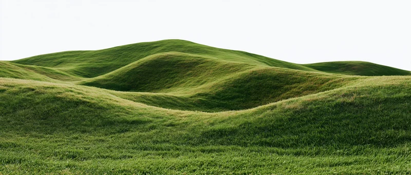 Gently rolling grass-covered hills under a bright sky