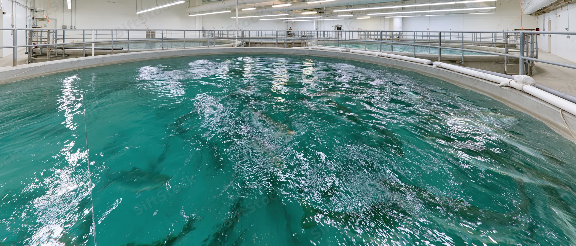 Large circular tank filled with water and swimming fish inside an indoor aquaculture facility