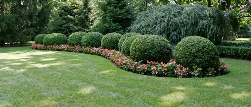 Curved border of round boxwood shrubs and red flowers along a manicured lawn in a formal garden