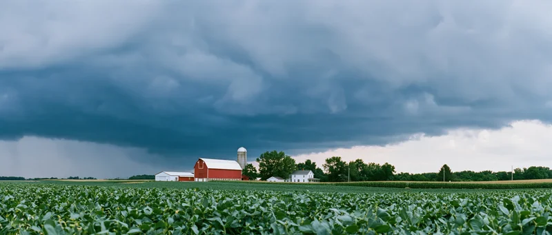 Stormy sky over red barn and white farmhouse in soybean field