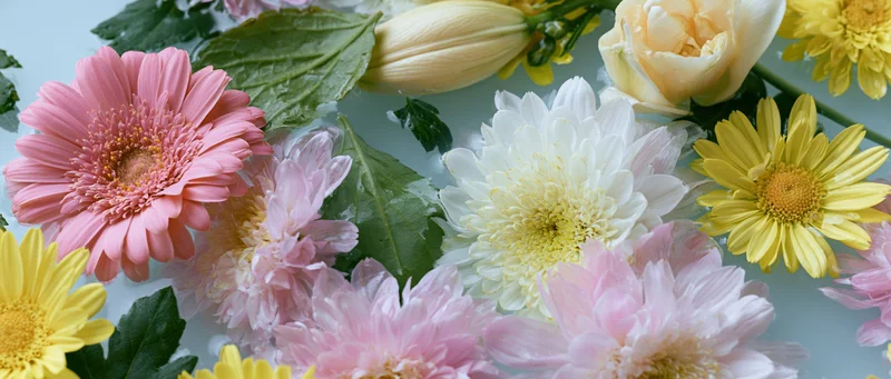 Mixed flowers including pink gerbera daisies, white and pale pink chrysanthemums, and yellow daisies arranged on a light surface with green leaves
