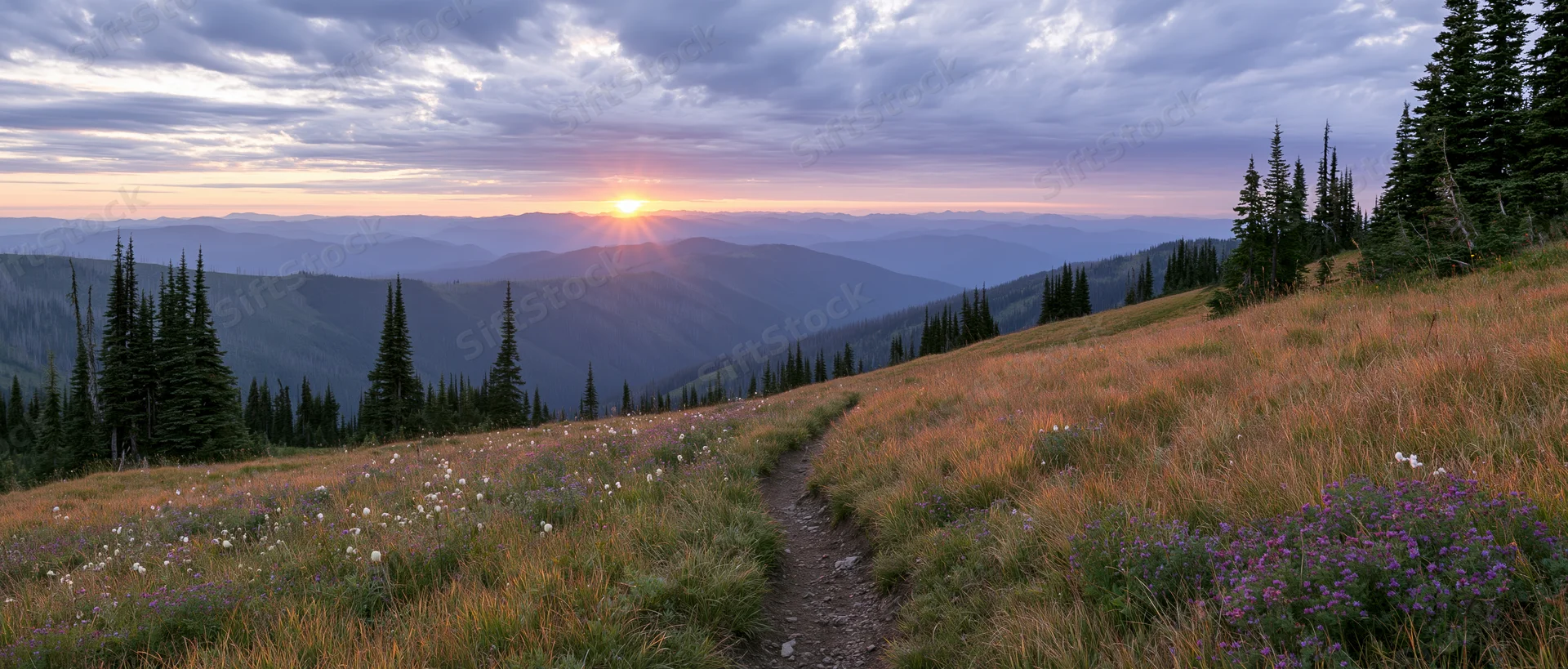 Narrow dirt path through alpine meadow with wildflowers at sunset, surrounded by pine forest and distant mountains