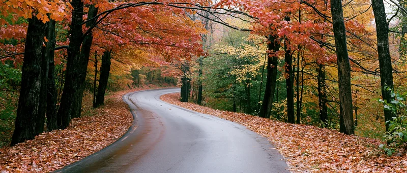 Winding country road curving through autumn forest with colorful foliage and fallen leaves lining the pavement