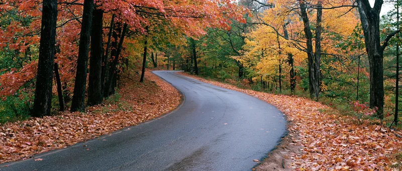 Winding asphalt road curving through autumn forest with colorful foliage and fallen leaves along the sides
