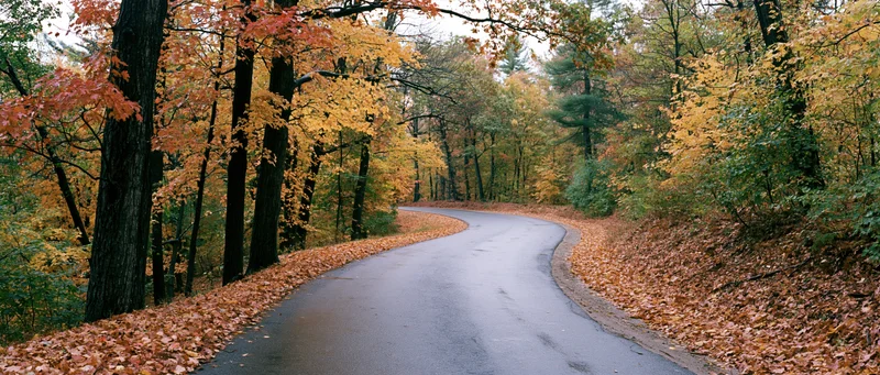 Winding country road curving through autumn forest with fallen leaves on pavement