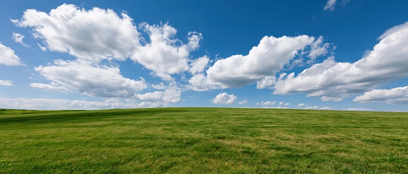 Wide open green grass field stretching to a gently rolling horizon under a blue sky with white clouds
