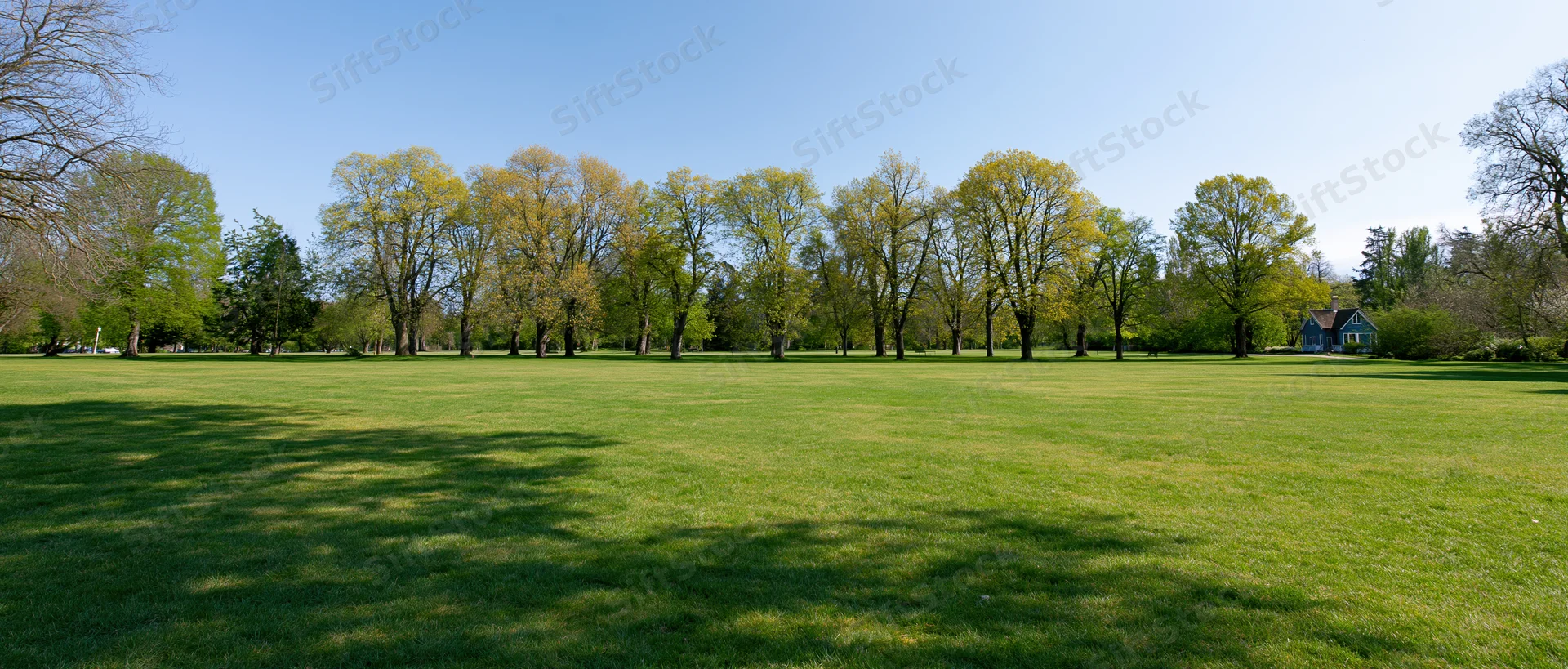 Wide view of a green lawn in a public park with trees and blue sky in early spring