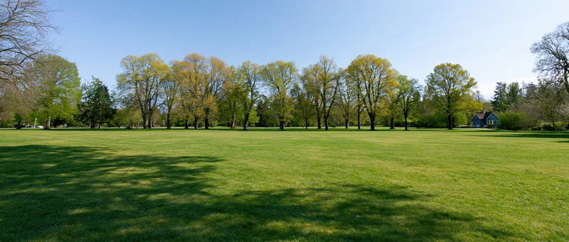 Wide view of a green lawn in a public park with trees and blue sky in early spring