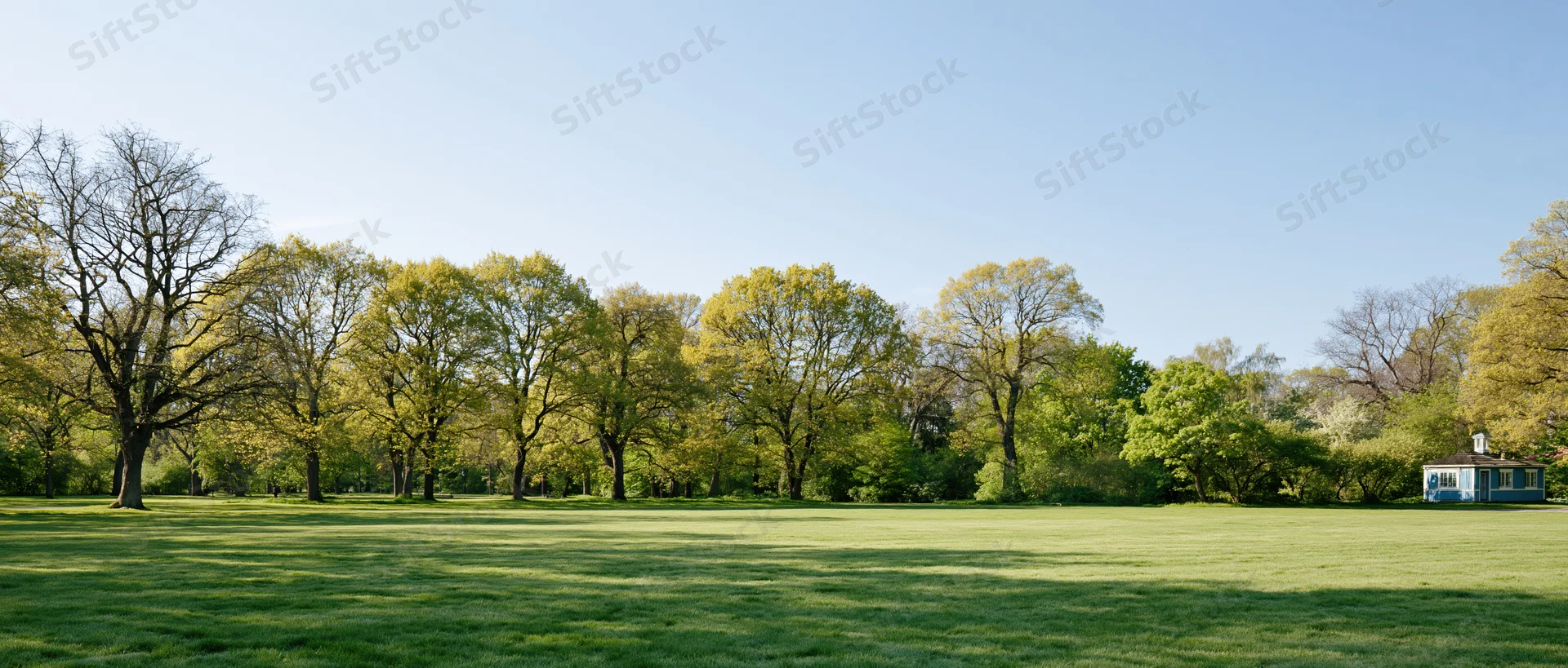 Wide view of a green lawn in a public park with trees and a small pavilion under a clear blue sky during early spring