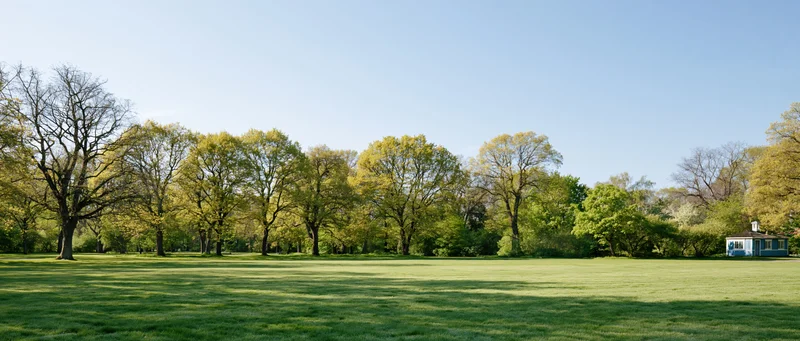 Wide view of a green lawn in a public park with trees and a small pavilion under a clear blue sky during early spring