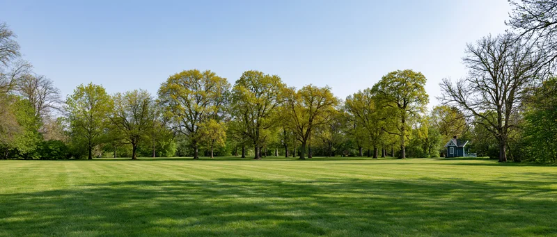 Wide view of a green lawn in a public park with trees and clear sky during early spring