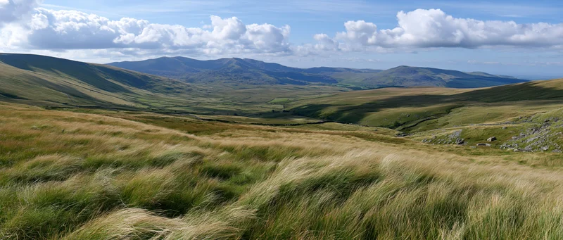 Panoramic view of wind-swept grassy moorland with rolling hills and distant mountains under a partly cloudy sky