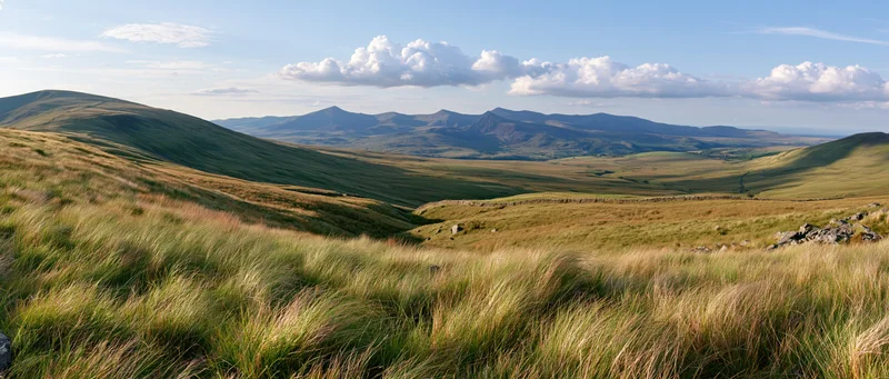 Panoramic view across open welsh upland moorland with windblown grass and distant hills under a blue sky with clouds
