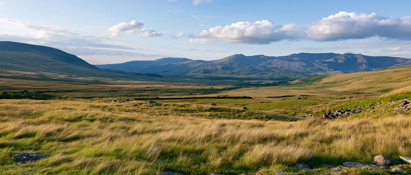 Panoramic view of wind-swept grassy moorland stretching toward distant mountains under a partly cloudy sky