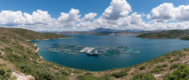 Panoramic view of circular fish cages floating in a bay surrounded by hills under a cloudy sky