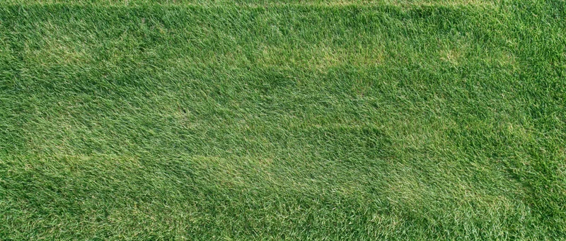 Overhead view of manicured sports turf grass field