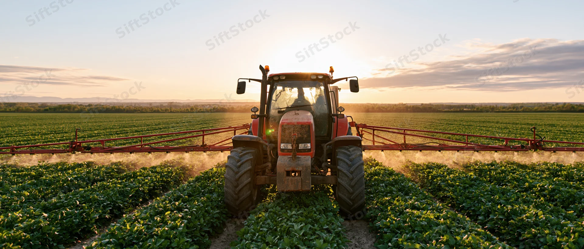 Red tractor spraying crops in a green field at sunset