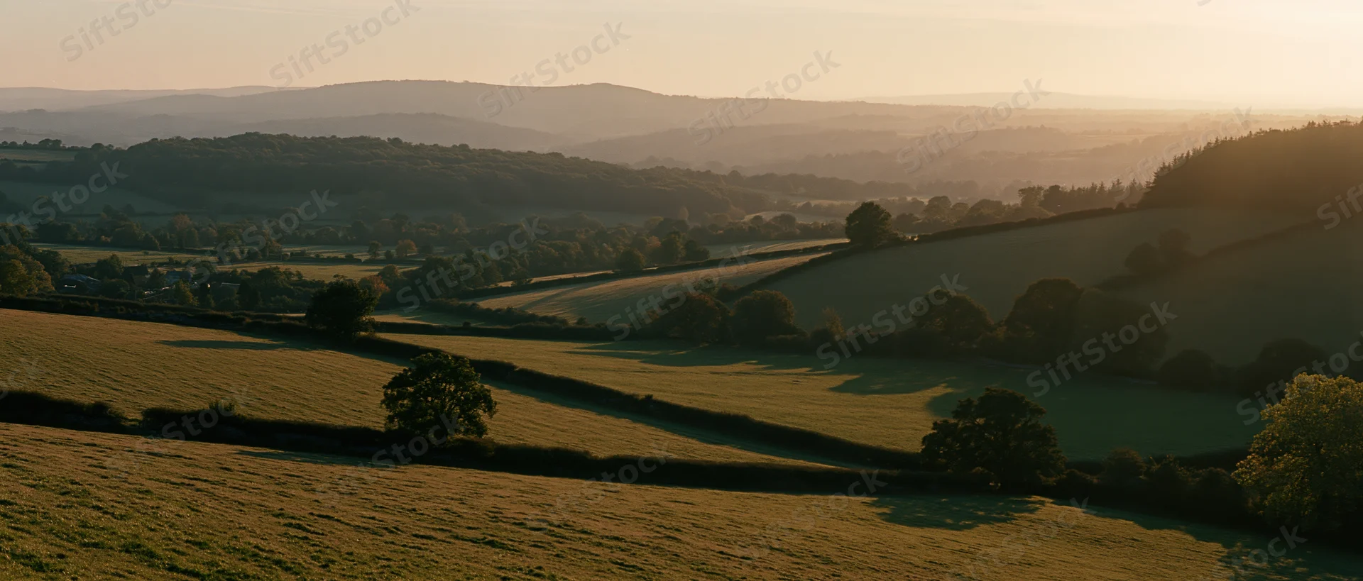 Rolling countryside landscape at golden hour with fields and hedgerows under warm light