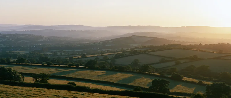 Rolling countryside landscape at golden hour with fields and hills under warm light