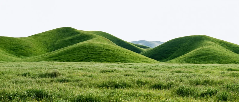 Rolling grass-covered hills rising gently from a lush meadow