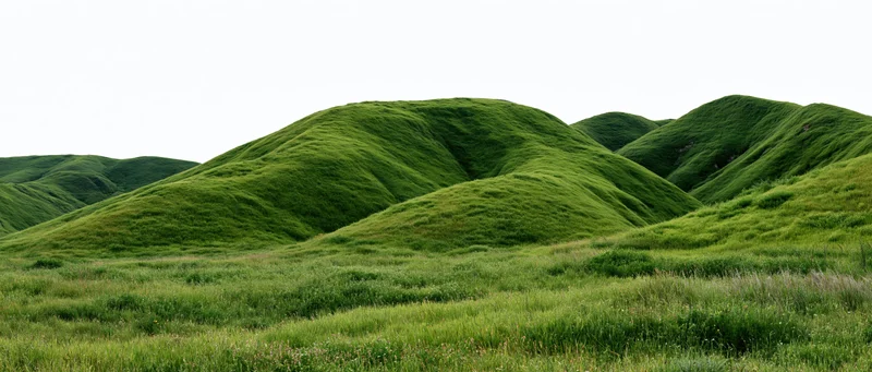 Rolling grass-covered hills rising from a lush meadow under an overcast sky