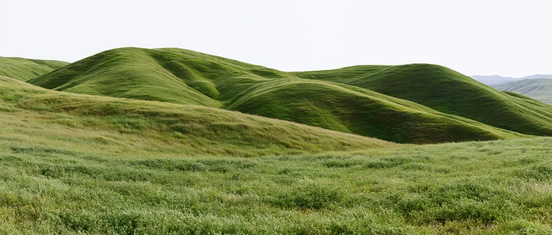 Rolling grass-covered hills rising gently from a lush meadow