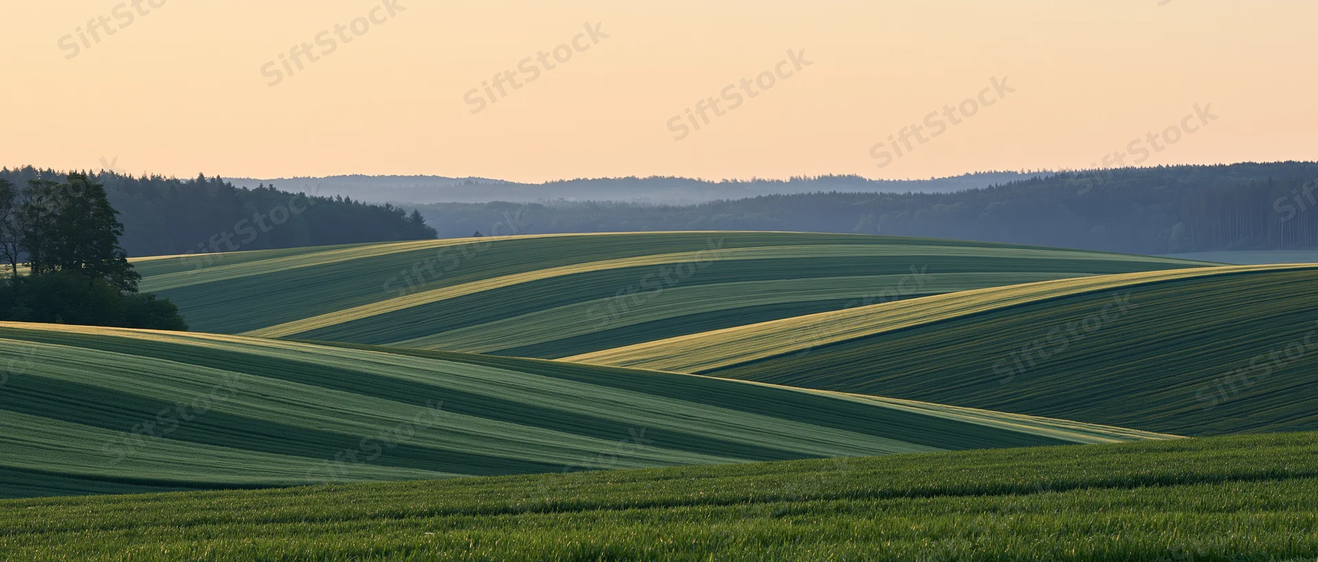 Rolling green agricultural fields with gentle wave-like hills under a soft sky