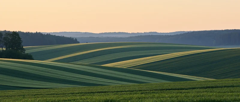 Rolling green agricultural fields with gentle wave-like hills under a soft sky