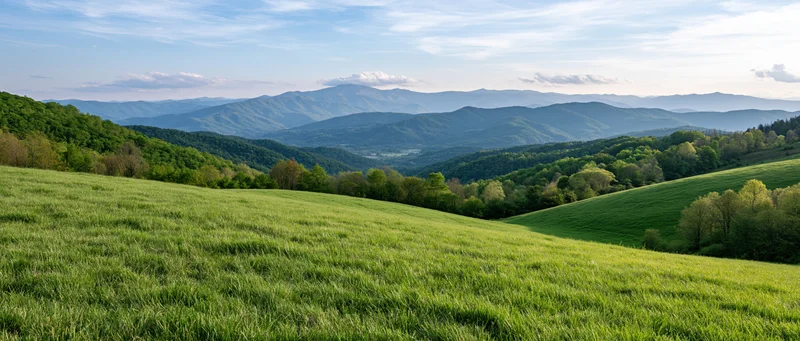 Rolling green meadow leading into forested hills under a partly cloudy sky
